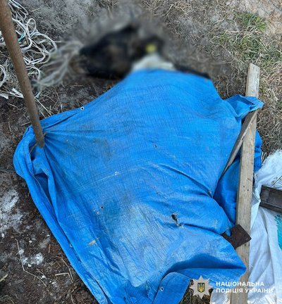 Загибель худоби та мільйон гривень збитків: на Житомирщині директору держпідприємства повідомили про підозру Загибель худоби та мільйон гривень збитків: на Житомирщині директору держпідприємства повідомили про підозру