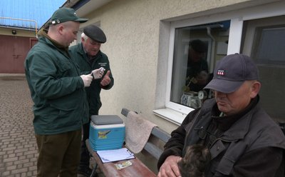 В громаді на Волині ветеринари подвірно щеплювали тварин від сказу В громаді на Волині ветеринари подвірно щеплювали тварин від сказу