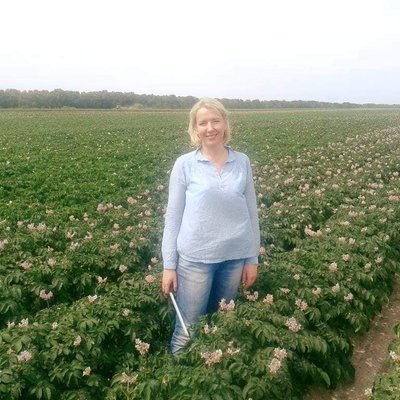 Коли і як садити картоплю навесні 2026: оптимальні строки, ґрунт і помилки городників Коли і як садити картоплю навесні 2026: оптимальні строки, ґрунт і помилки городників