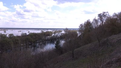 "Пішла вода – і риба з'явилась": як повінь-2026 у Мезинському парку вплинула на інші природні процеси і чому "Пішла вода – і риба з'явилась": як повінь-2026 у Мезинському парку вплинула на інші природні процеси і чому