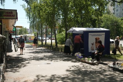 У Сумах безплатно щеплюють собак і котів від сказу: яка активність містян У Сумах безплатно щеплюють собак і котів від сказу: яка активність містян