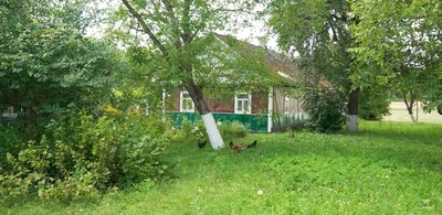 "До маршрутки — 4 км": реалії життя у селі Дубини на Рівненщині "До маршрутки — 4 км": реалії життя у селі Дубини на Рівненщині