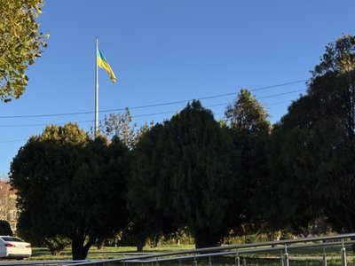 Можливе посилення вітру: яку погоду прогнозують на території області Можливе посилення вітру: яку погоду прогнозують на території області