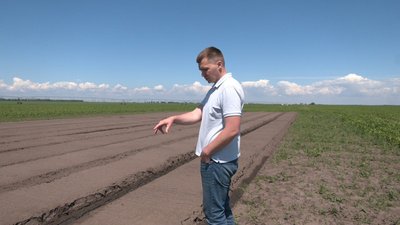 Затримали буревій і дощі: як на Черкащині висаджують овочі Затримали буревій і дощі: як на Черкащині висаджують овочі