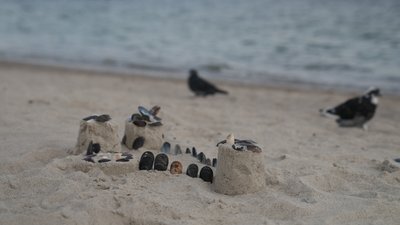 Цвітіння води, стоки та дрейфуючі міни: екологія Чорного моря очима експертів Цвітіння води, стоки та дрейфуючі міни: екологія Чорного моря очима експертів