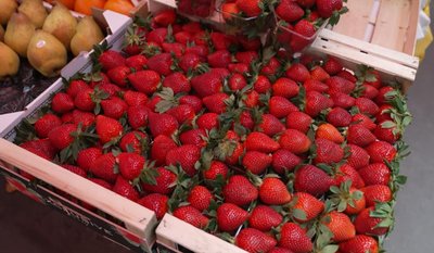 Полуниця, ціни, ринок, купити полуницю, 24 квітня 2026, Тернопіль Полуниця, ціни, ринок, купити полуницю, 24 квітня 2026, Тернопіль