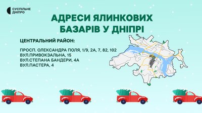 Ялинкові базари: де придбати святкове дерево у Дніпрі Ялинкові базари: де придбати святкове дерево у Дніпрі