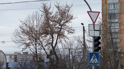 У Житомирі ліквідовують наслідки атаки дронів РФ: без електрики лишалися 150 тисяч споживачів У Житомирі ліквідовують наслідки атаки дронів РФ: без електрики лишалися 150 тисяч споживачів
