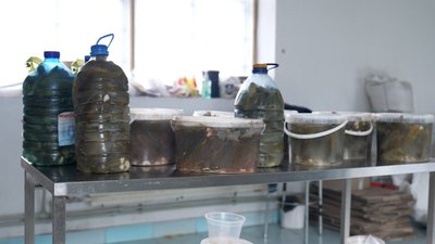 "Можемо 200 кілограмів на день переробити". Волонтери "Солдатської куховарні" на Вінниці готують соління для оборонців "Можемо 200 кілограмів на день переробити". Волонтери "Солдатської куховарні" на Вінниці готують соління для оборонців