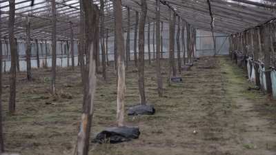 "Куди не поїдеш – стріляють". Чому мешканці прифронтового Чорненкового відмовляються покидати рідні домівки "Куди не поїдеш – стріляють". Чому мешканці прифронтового Чорненкового відмовляються покидати рідні домівки