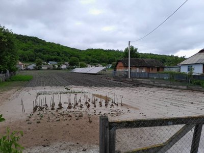 Негода на Тернопільщині, село Росохач, затопило дорогу, затопило, намул, сильні дощі, травень 2025 Негода на Тернопільщині, село Росохач, затопило дорогу, затопило, намул, сильні дощі, травень 2025