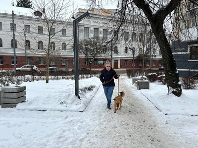 Як піщано-соляна суміш впливає на лапи собак: досвід ветеринарів і власників Як піщано-соляна суміш впливає на лапи собак: досвід ветеринарів і власників