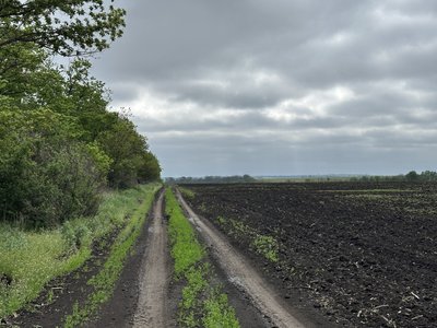 “Наші кавуни не гірші херсонських”: фермер з Донеччини вирощує врожай під обстрілами “Наші кавуни не гірші херсонських”: фермер з Донеччини вирощує врожай під обстрілами