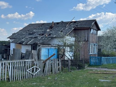 Білиці Білиці