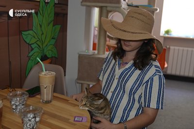 «Котики — це не іграшки»: як за понад пів року змінилося котокафе в Одесі «Котики — це не іграшки»: як за понад пів року змінилося котокафе в Одесі