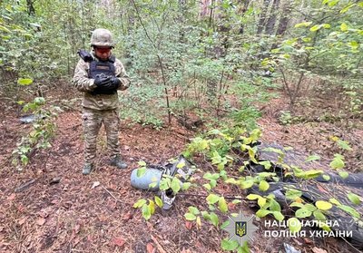 У лісосмузі в Києві знайшли "шахед" із вибухівкою У лісосмузі в Києві знайшли "шахед" із вибухівкою