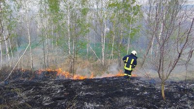 На Черкащині горів сухостій На Черкащині горів сухостій