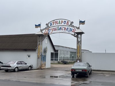 У Первомайську відбулася виставка-ярмарок голубів та екзотичних птахів У Первомайську відбулася виставка-ярмарок голубів та екзотичних птахів