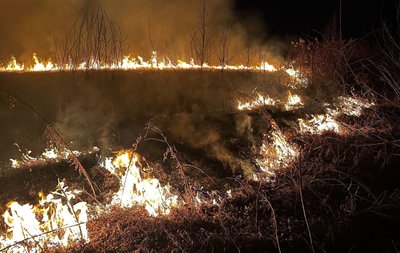 Основна причина — необережне куріння: на Черкащині п'ять разів за добу горів сухостій Основна причина — необережне куріння: на Черкащині п'ять разів за добу горів сухостій