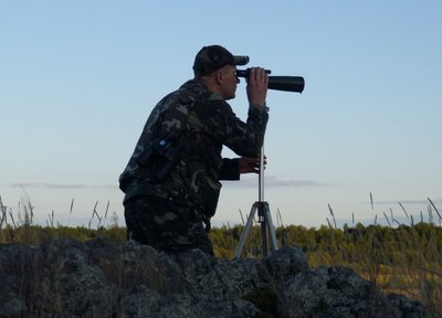 Прояви весняної поведінки птахів на Житомирщині: що кажуть орнітологи Прояви весняної поведінки птахів на Житомирщині: що кажуть орнітологи