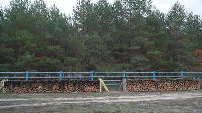 “Вартість газу і дров різниться”: яка ціна дров на Сумщині “Вартість газу і дров різниться”: яка ціна дров на Сумщині