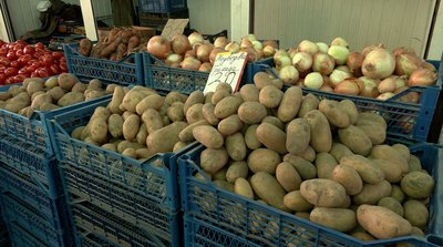 "Наче врожай, а ціни такі ж": яка вартість картоплі на черкаському ринку