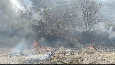На Одещині через спалення сухої трави згорів гектар зелених насаджень На Одещині через спалення сухої трави згорів гектар зелених насаджень
