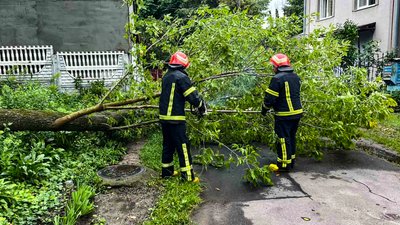 Постраждалих внаслідок буревію не зафіксували Постраждалих внаслідок буревію не зафіксували