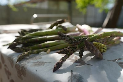 "Садимо те, що самі можемо обробити" - господиня з Кам’янщини збирає врожай спаржі на своїй присадибній ділянці "Садимо те, що самі можемо обробити" - господиня з Кам’янщини збирає врожай спаржі на своїй присадибній ділянці