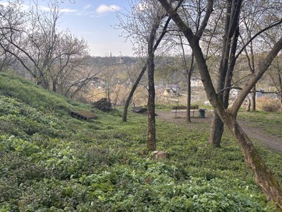 "В історичному центрі Житомира такий безлад", — краєзнавець Сергій Дехтяренко