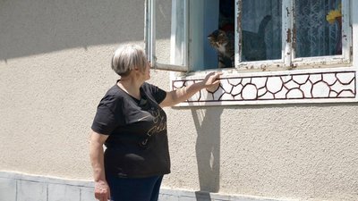 Надія Клюшник, кіт Трактор, переселенка, тварини, 9 червня 2026, Тернопіль Надія Клюшник, кіт Трактор, переселенка, тварини, 9 червня 2026, Тернопіль