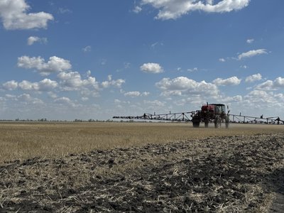Зернові, овочі та баштанні. Який врожай цього року зібрали фермери на деокупованому правобережжі Херсонщини Зернові, овочі та баштанні. Який врожай цього року зібрали фермери на деокупованому правобережжі Херсонщини