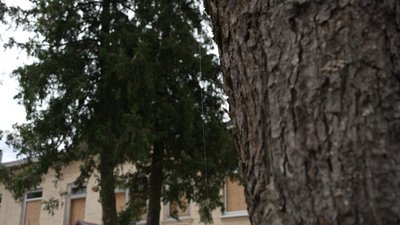 Семенівка на Чернігівщині: через дронів-ждунів заховали автівки та пересіли на велосипеди Семенівка на Чернігівщині: через дронів-ждунів заховали автівки та пересіли на велосипеди