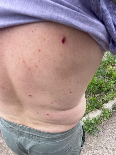Вовка у центрі села сприйняв, як попередження — староста Стецьківки розповів, як збив FPV-дрон з рушниці Вовка у центрі села сприйняв, як попередження — староста Стецьківки розповів, як збив FPV-дрон з рушниці