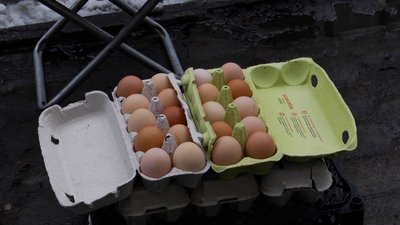 Подорожчання яєць на житомирському ринку: що впливає на ціну та чи зросте їх вартість перед святами Подорожчання яєць на житомирському ринку: що впливає на ціну та чи зросте їх вартість перед святами
