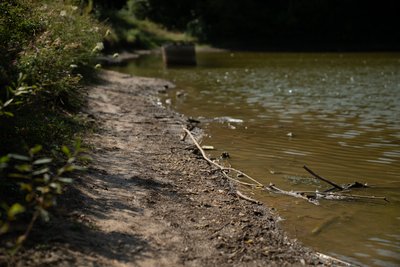 Зниження рівня води у ставку Полтавського дендропарку: що говорять фахівці Зниження рівня води у ставку Полтавського дендропарку: що говорять фахівці