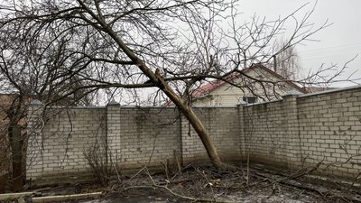 "Мене доганяє куля": подробиці конфлікту з керівником психдиспансеру за дерево горіха у Полтаві "Мене доганяє куля": подробиці конфлікту з керівником психдиспансеру за дерево горіха у Полтаві