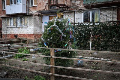 Розмальовані вітрини та прикрашені ялинки. Херсон напередодні Різдва — у фото Розмальовані вітрини та прикрашені ялинки. Херсон напередодні Різдва — у фото