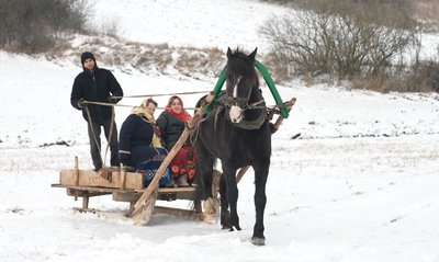 "Леся виручає": у селі на Черкащині майже не лишилося коней "Леся виручає": у селі на Черкащині майже не лишилося коней