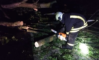 Повалені дерева і знеструмлення: показали наслідки нічної негоди на Черкащині Повалені дерева і знеструмлення: показали наслідки нічної негоди на Черкащині
