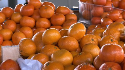 Мандарини на вінницьких ринках: що кажуть продавці та покупці про здорожчання цитрусових Мандарини на вінницьких ринках: що кажуть продавці та покупці про здорожчання цитрусових