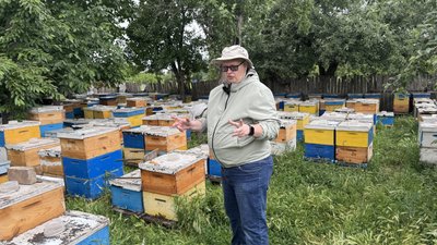 "Бджоли б’ються в конвульсіях": у двох селах Кіровоградщини загинули 32 мільйони бджіл "Бджоли б’ються в конвульсіях": у двох селах Кіровоградщини загинули 32 мільйони бджіл