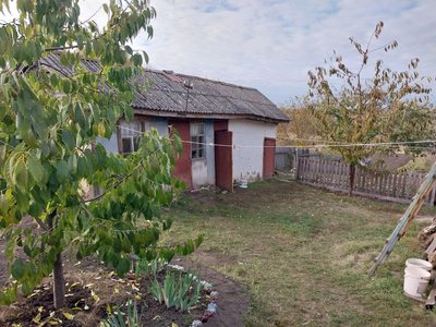 Як живе дачник біля російського кордону на Сумщині Як живе дачник біля російського кордону на Сумщині