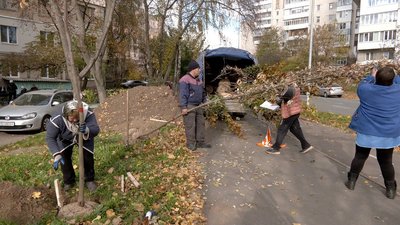 "Повирізали, то треба понасаджувати": у Вінниці триває озеленення міста "Повирізали, то треба понасаджувати": у Вінниці триває озеленення міста