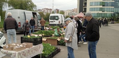У Хмельницькому відбувається "Ярмарок розсади"