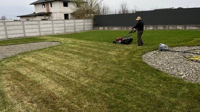 Чому газон не сходить рівномірно: коли сіяти, як поливати та що робити з бур'янами Чому газон не сходить рівномірно: коли сіяти, як поливати та що робити з бур'янами