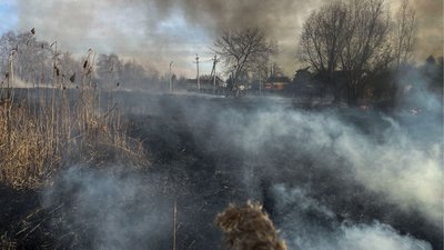 Пожежа сухостою на Черкащині Пожежа сухостою на Черкащині
