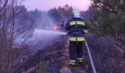 Упродовж доби в регіоні сталися три займання в екосистемах Упродовж доби в регіоні сталися три займання в екосистемах