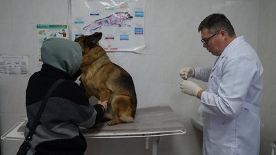 Загроза сказу у Миколаєві: як у місті протидіють поширенню хвороби Загроза сказу у Миколаєві: як у місті протидіють поширенню хвороби