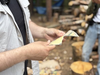 тернопіль, реабілітація військових через розкопки, археологічний табір, кременеччина, 28 липня 2026 року